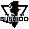 Projeto Bushido